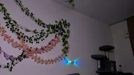 LadyTrep webcam model stream image