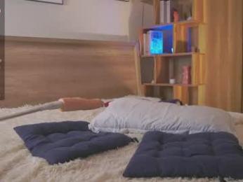 lanisun webcam model stream image