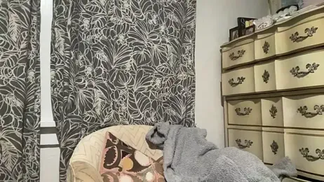 Nathan_chase webcam model stream image