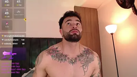 Diegoarctic webcam model stream image