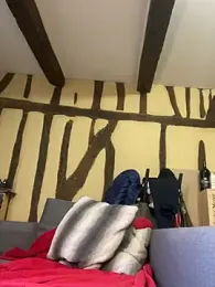 Toto-pika webcam model stream image