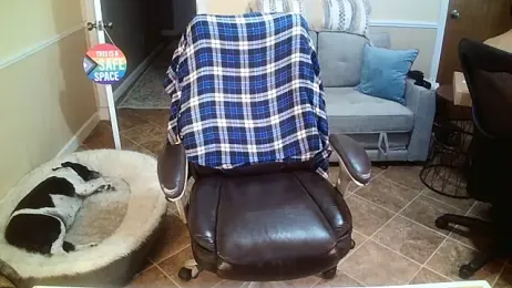 superbearboss webcam model stream image