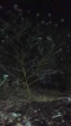 MONSTER777DADDY webcam model stream image