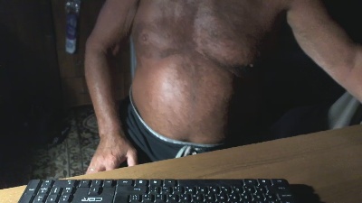 polbearmos webcam model stream image