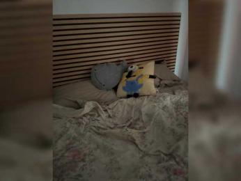 Lename webcam model stream image