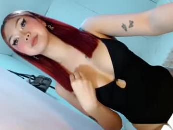 hoelychess webcam model stream image