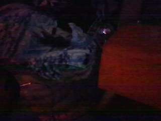 secretsexpert webcam camsoda model stream image