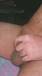 Pinguino08 webcam model stream image