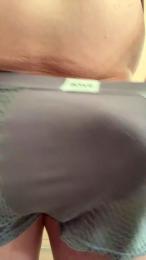 zonneke2 webcam model stream image