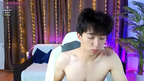 DianInav webcam model stream image