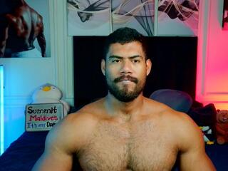 Tiago De Sousa webcam flirt4free model stream image
