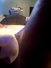 Painstickwes webcam model stream image