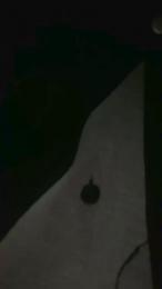 Bull4fun1 webcam model stream image