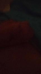 Leozinho188 webcam cam4 model stream image