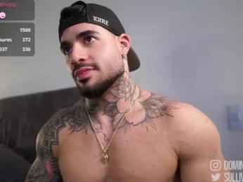 dominic_sullivan1 webcam model stream image