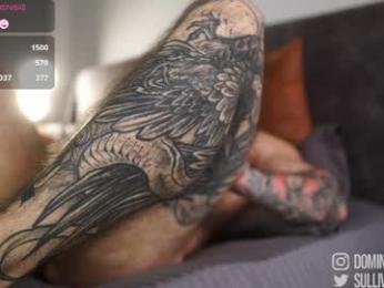 dominic_sullivan1 webcam model stream image