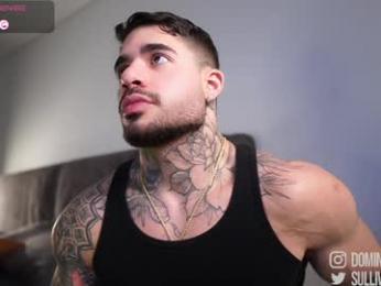 dominic_sullivan1 webcam model stream image