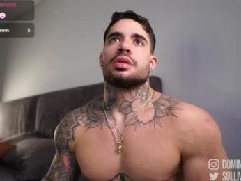 dominic_sullivan1 webcam chaturbate model stream image