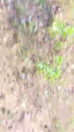 big_blackc webcam model stream image