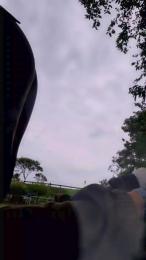 Malepee webcam cam4 model stream image