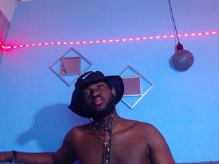 Andrew Mills webcam model stream image