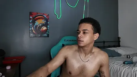 l-laross webcam model stream image