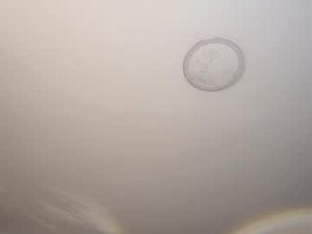 isa_cortes_ webcam model stream image