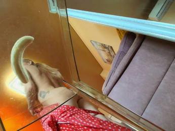 MissMotivated webcam bongacams model stream image