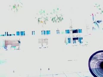 crazypaty webcam model stream image