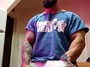 adonis_msc webcam chaturbate model stream image