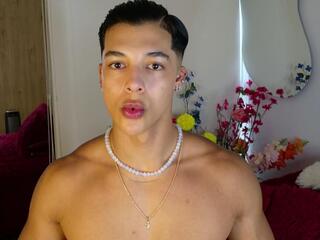 Troye Williams webcam model stream image