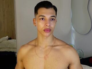 Troye Williams webcam model stream image