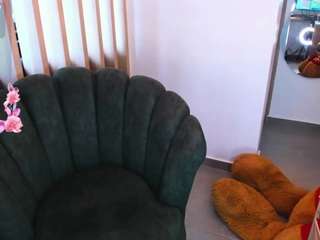 teerry webcam model stream image