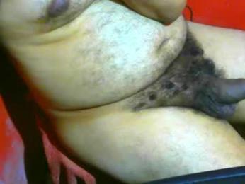 jshepeherdd webcam chaturbate model stream image