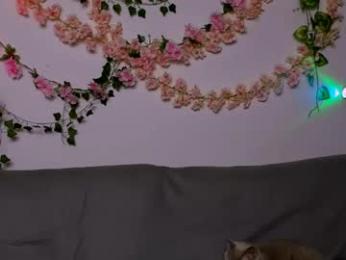 ladytrep webcam model stream image