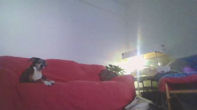 zena_xxx webcam model stream image