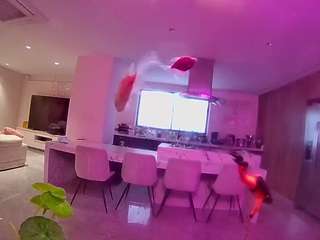 voyeurcam-casa-salsa-fishtank webcam model stream image