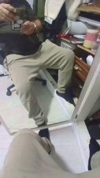 Falisan webcam model stream image