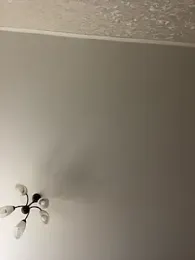 Poly_Nick webcam model stream image