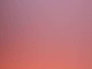 valerynova webcam preview