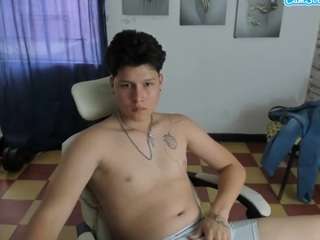 martin-lows webcam model stream image