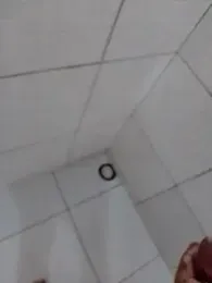 Bruccebr webcam model stream image