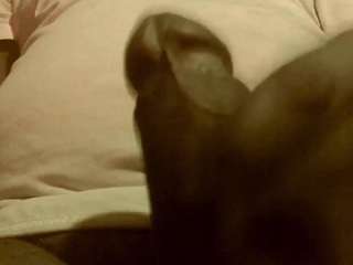 flexonaier webcam model stream image