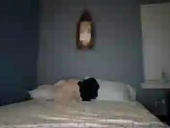 jadelondonxo webcam model stream image