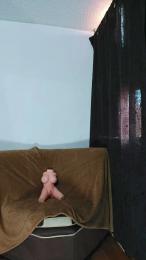 Shamefu1_man webcam model stream image