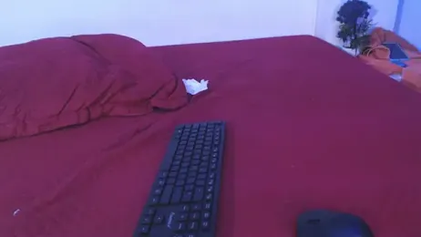 onixandghosty1 webcam stripchat model stream image