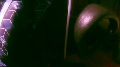 runroma webcam model stream image