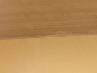 may-flowere webcam model stream image