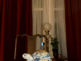 marin50 webcam model stream image