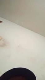 Kelmts webcam model stream image
